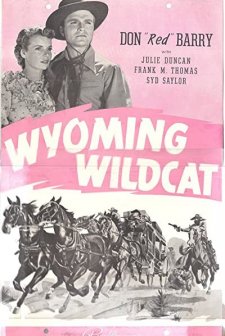 Wyoming Wildcat (1941) afişi