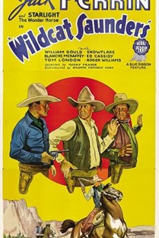 Wildcat Saunders (1936) afişi
