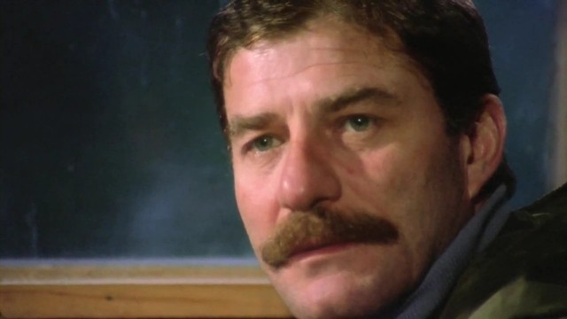 Selvi Boylum Al Yazmalım Fotoğrafı