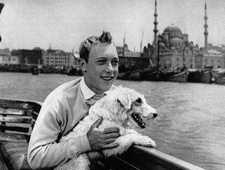 Tenten Ve Altın Post Fotoğrafı