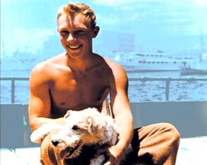 Tenten Ve Altın Post Fotoğrafı