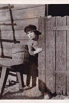 A Boy Of Flanders (1924) afişi