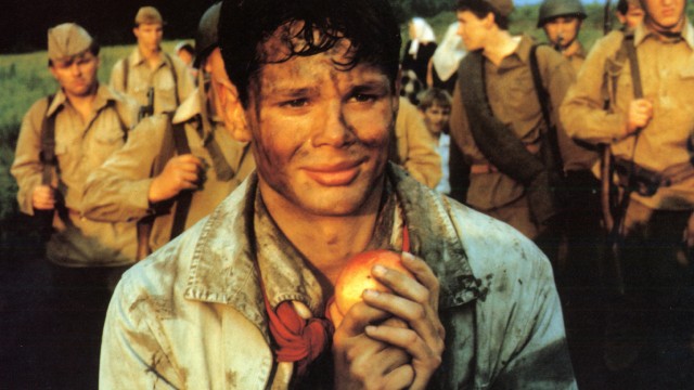 Avrupa Avrupa Fotoğrafı