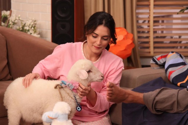 Yahşi Cazibe Fotoğrafı