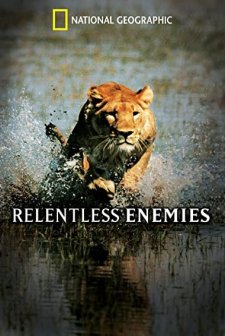 Relentless Enemies (2006) afişi