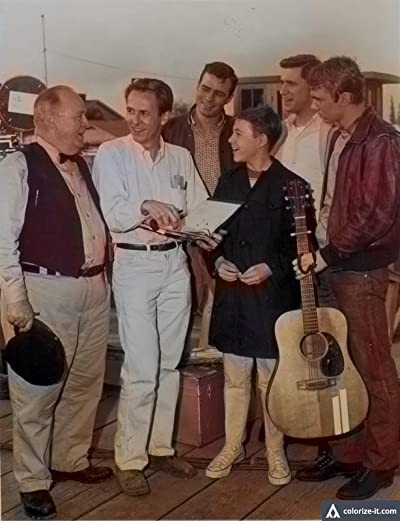 Bir Erkeğin Dünyası (1962) afişi