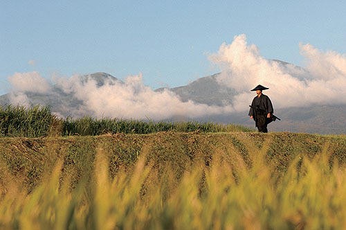 Sword Of Desperation Fotoğrafı