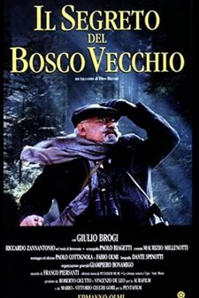 ıl Segreto Del Bosco Vecchio (1993) afişi
