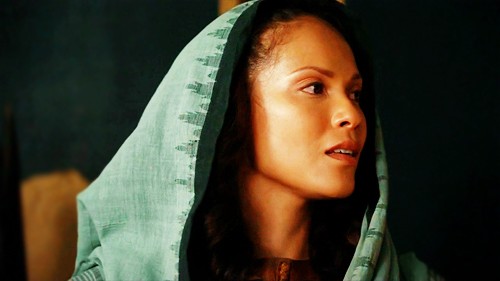 Spartacus: Gods Of The Arena Fotoğrafı