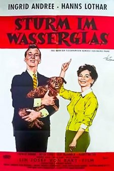Sturm Im Wasserglas (1960) afişi