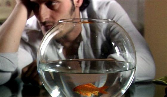 Goodbye Mr. Zeus fotoğrafı