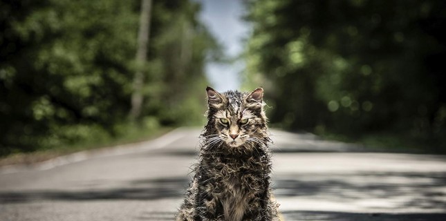 Hayvan Mezarlığı Uyarlamasından Türkçe Altyazılı Teaser Geldi