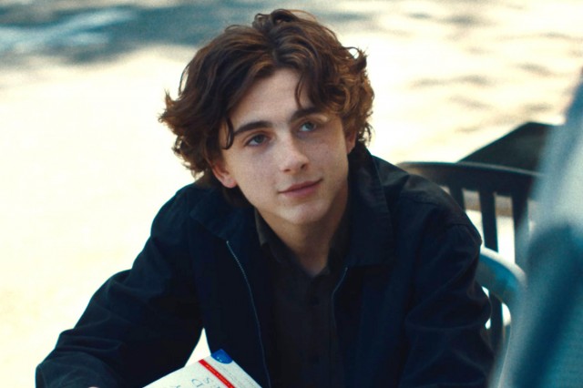 Timothée Chalamet fotoğrafı