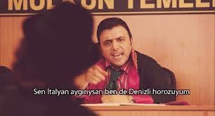 Şinasi Yurtsever Fotoğrafı