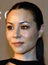 China Chow fotoğrafı