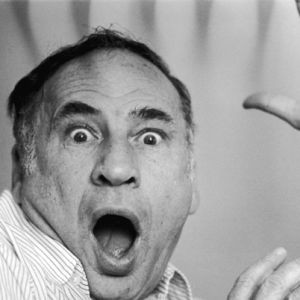 Mel Brooks fotoğrafı
