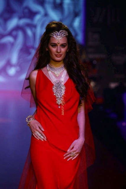 Evelyn Sharma Fotoğrafı