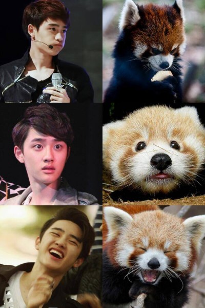 Kyungsoo Do Fotoğrafı