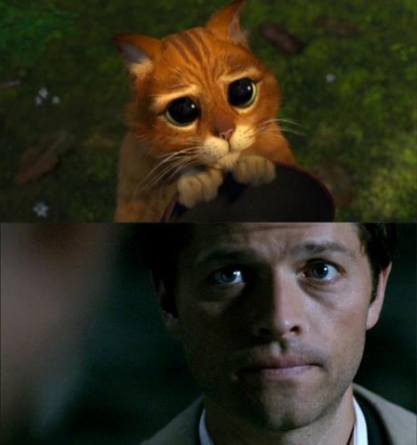 Misha Collins Fotoğrafı