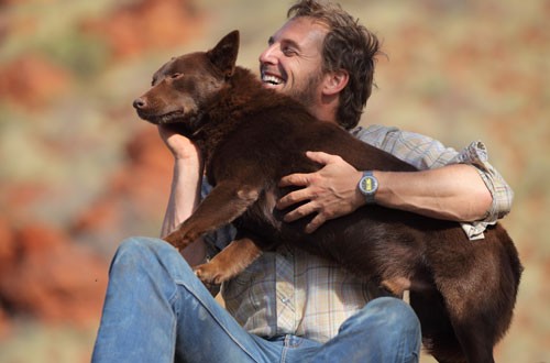 Kırmızı Köpek Fotoğrafları 0