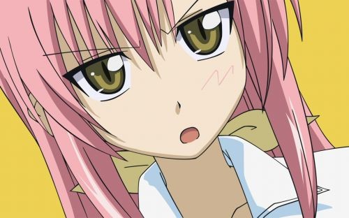 Hayate No Gotoku! fotoğrafı