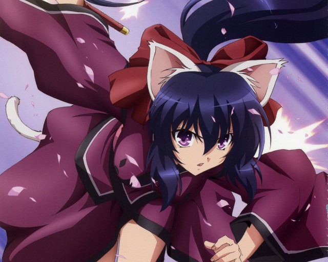 Omamori Himari Fotoğrafı