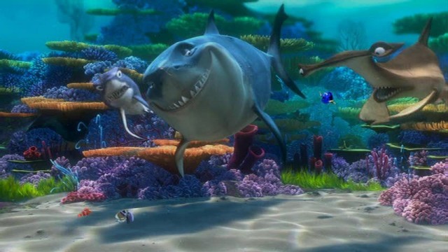 Kayıp Balık Nemo Fotoğrafı