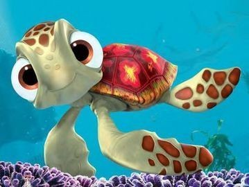 Kayıp Balık Nemo Fotoğrafları 72