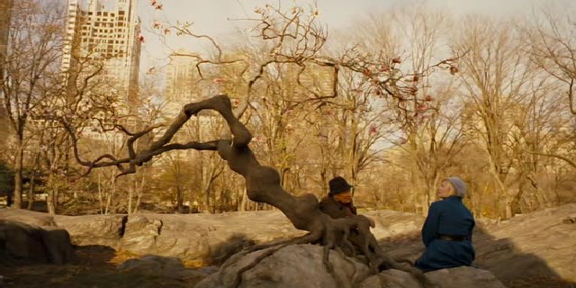 Benim Hırçın Sevgilim Fotoğrafı