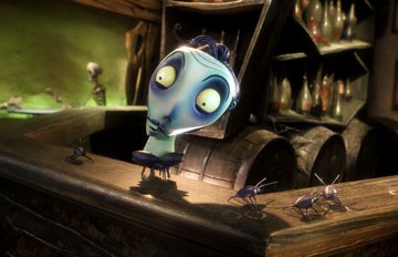 Ölü Gelin Fotoğrafı