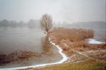 400 Km Brandenburg Fotoğrafı