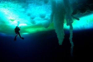 Dünya'nın Sonundaki Karşılaşmalar Fotoğrafı