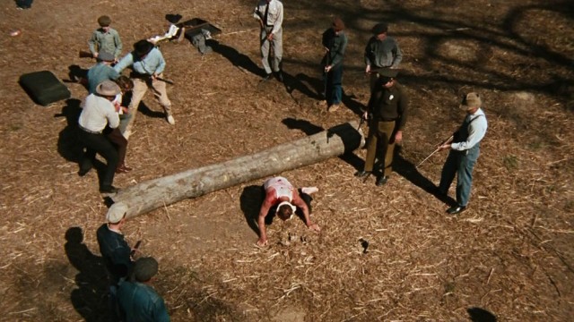 Bonnie ve Clyde Fotoğrafı