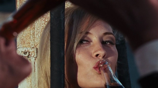 Bonnie ve Clyde Fotoğrafı