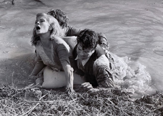 Bonnie ve Clyde Fotoğrafı