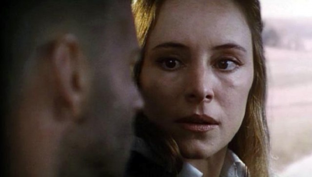 12 Maymun Fotoğrafı