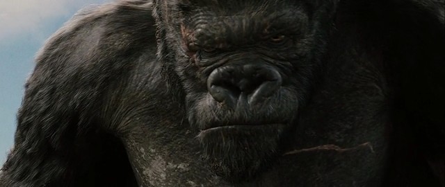 King Kong Fotoğrafı
