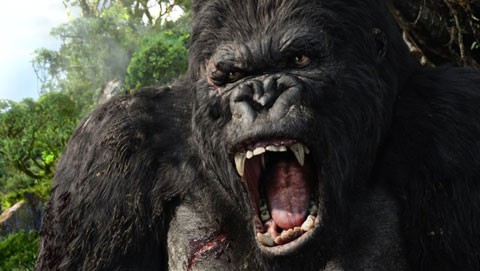 King Kong Fotoğrafları 78