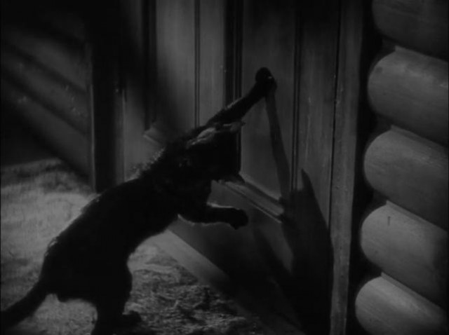 The Awful Truth Fotoğrafı