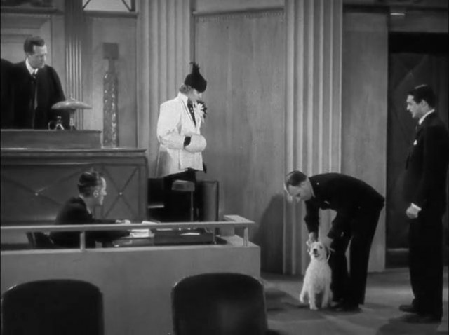 The Awful Truth Fotoğrafı