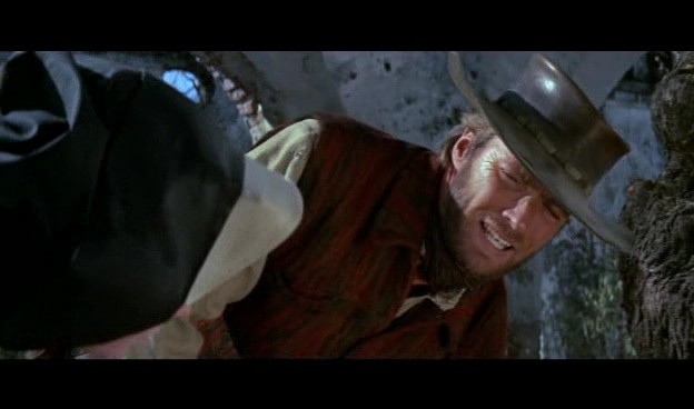 Sara'ya İki Katır Fotoğrafı