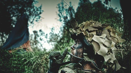 Armadillo fotoğrafı Armadillo fotoğrafı