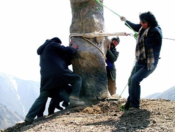 Kargaran Mashghoole Karand Fotoğrafı