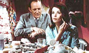 Papavero E Anche Un Fiore Fotoğrafı