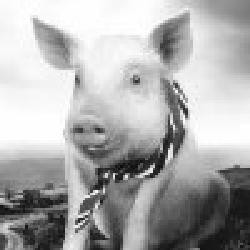 Gordy Fotoğrafı