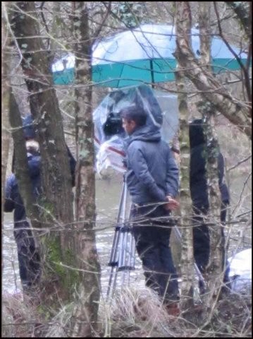 Merlin Fotoğrafı
