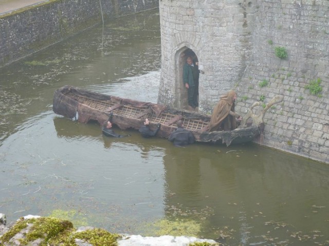 Merlin Fotoğrafı