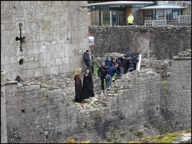 Merlin Fotoğrafı