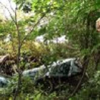 * Cemetery Fotoğrafı