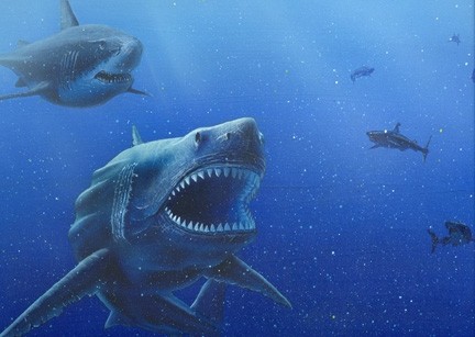 Shark Attack Fotoğrafı